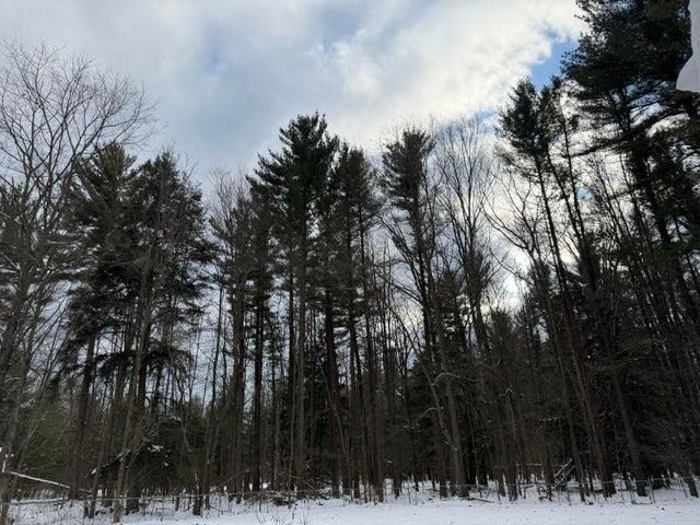 207 N Plank Road, Tawas City, MI 48763