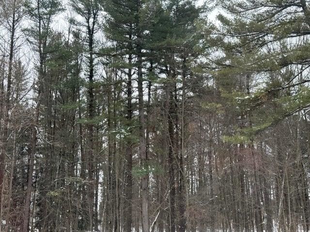 207 N Plank Road, Tawas City, MI 48763