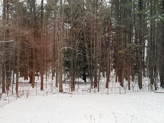 207 N Plank Road, Tawas City, MI 48763