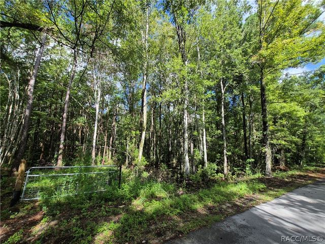 10622 S Le Baron Drive, Homosassa, FL 34448