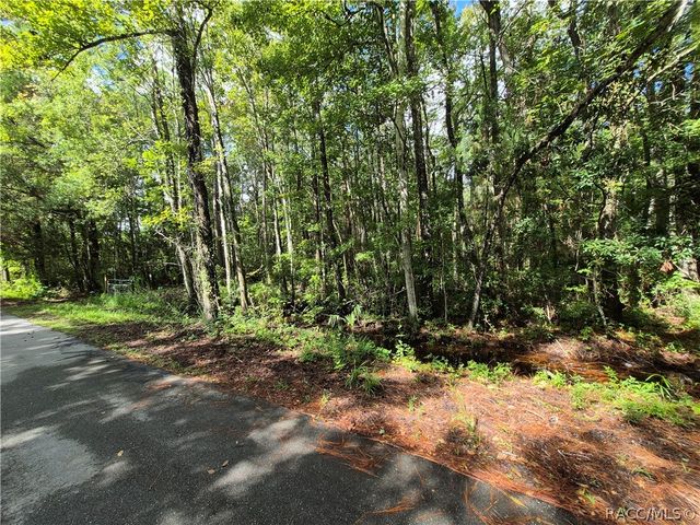 10622 S Le Baron Drive, Homosassa, FL 34448