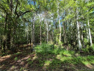 10622 S Le Baron Drive, Homosassa, FL 34448