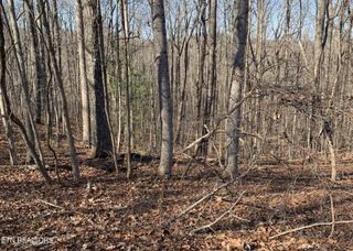 190 Beachwood Drive, Fairfield Glade, TN 38558