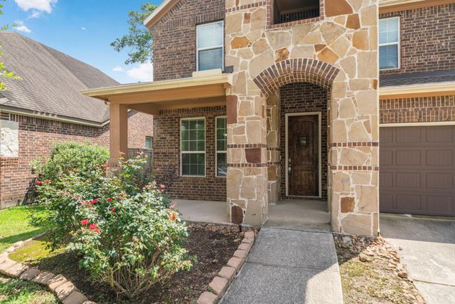 22523 Birch Ridge Meadow Drive, Spring, TX 77389
