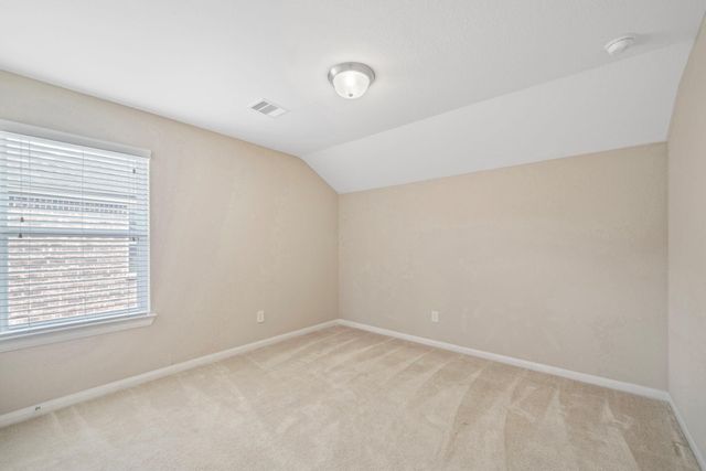 22523 Birch Ridge Meadow Drive, Spring, TX 77389