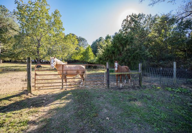 7817 Shelbyville Rd, Morrison, TN 37357