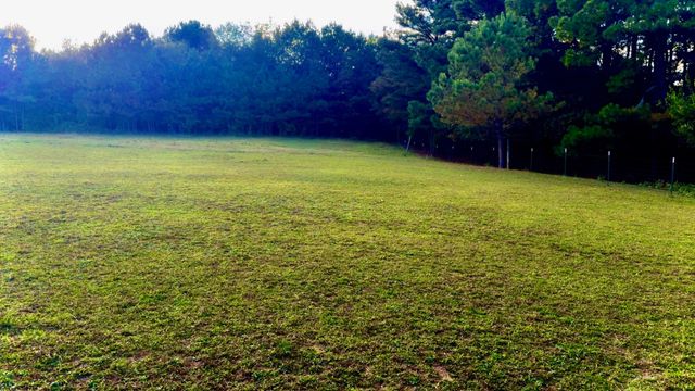 7817 Shelbyville Rd, Morrison, TN 37357