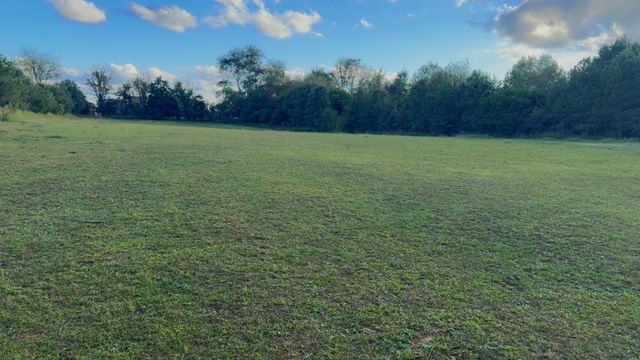 7817 Shelbyville Rd, Morrison, TN 37357