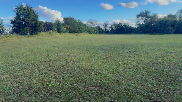 7817 Shelbyville Rd, Morrison, TN 37357