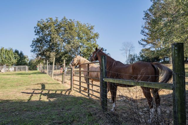 7817 Shelbyville Rd, Morrison, TN 37357