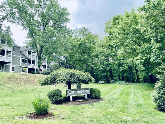 10 Lake Ave, Louisville, KY 40206