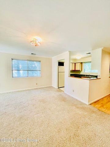 10 Lake Ave, Louisville, KY 40206