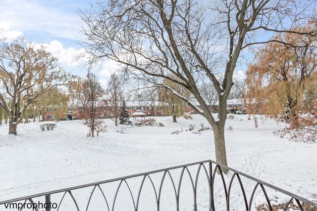 707 E Falcon Drive C207, Arlington Heights, IL 60005