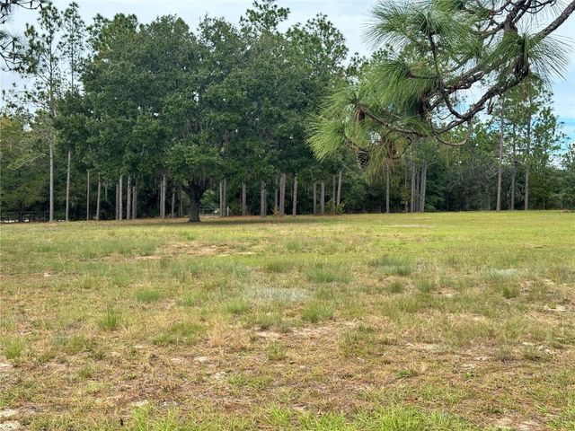 4551 NE 132ND COURT, Williston, FL 32696