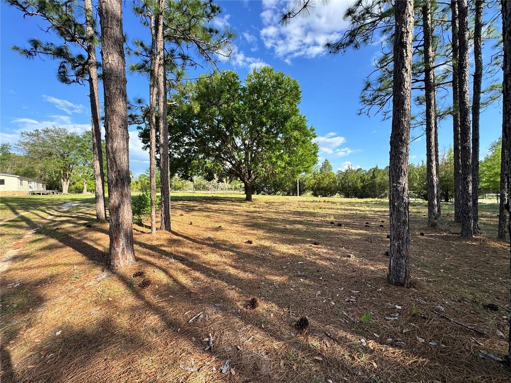 4551 NE 132ND COURT, Williston, FL 32696