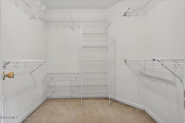 15 Coneflower Court, Malta, NY 12020