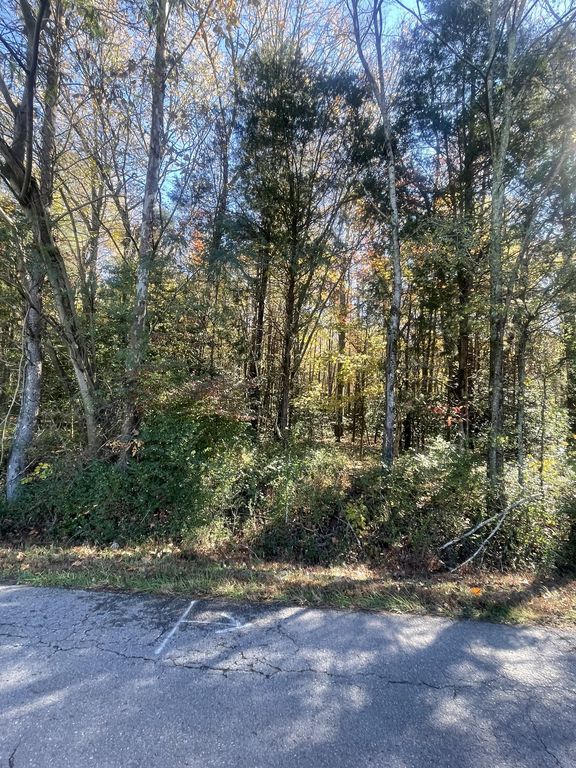 0 Hayes Rd, S, Lawrenceburg, TN 38464