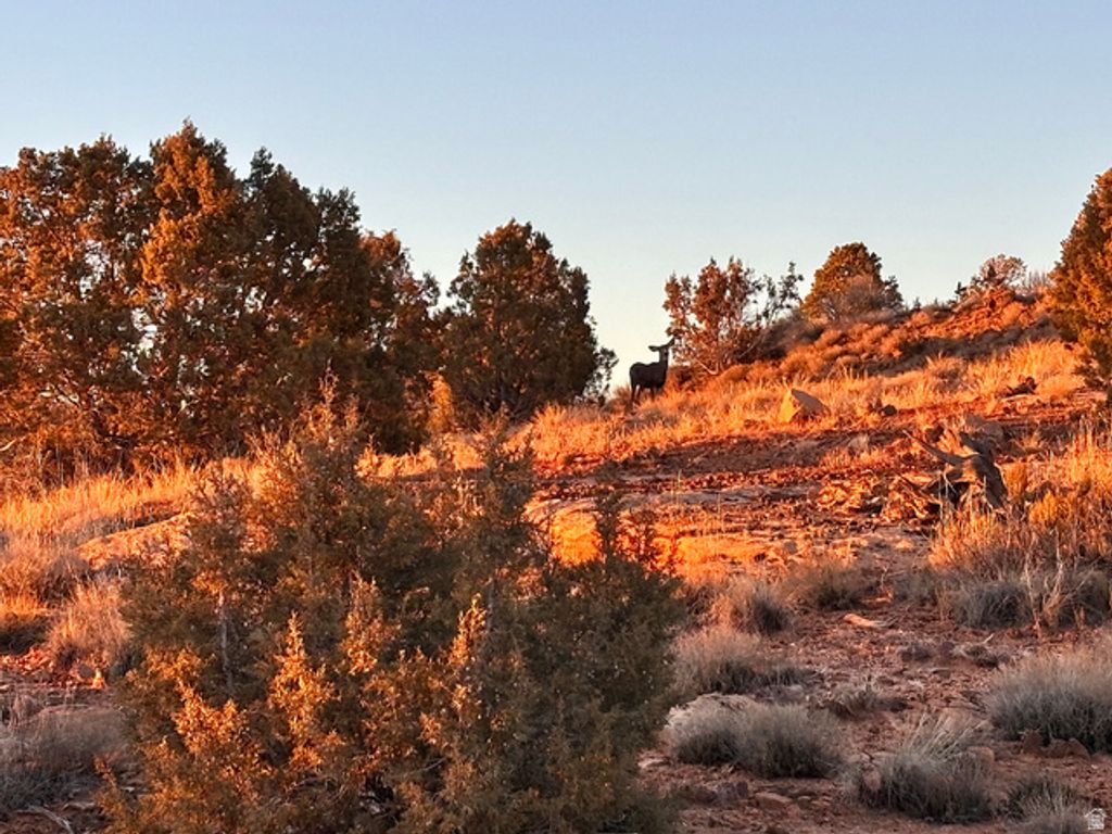 Image 16 of property listing at 675 W 950 N, Blanding, UT 84511