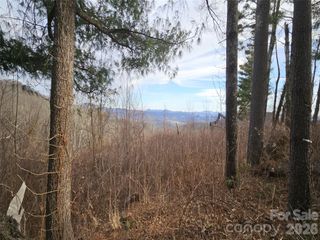 #178 Dancing Bear Drive, Hendersonville, NC 28792