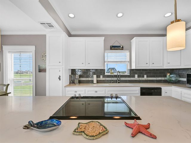 3902 Warrior Court, Galveston, TX 77554