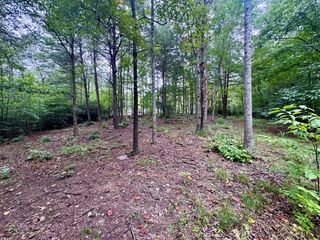 2 Darting Sparrow Way, Marietta, SC 29661