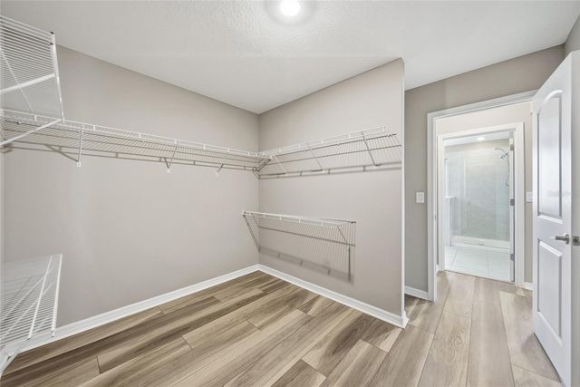 8147 ARTISAN CIRCLE, Seminole, FL 33777