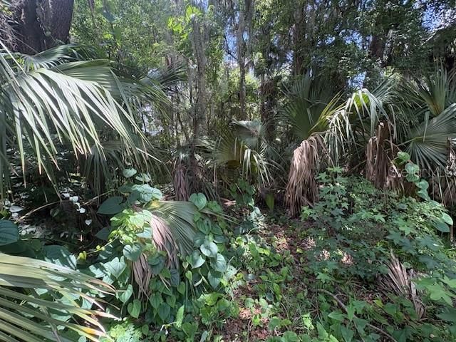2263 HONTOON ROAD, Deland, FL 32720