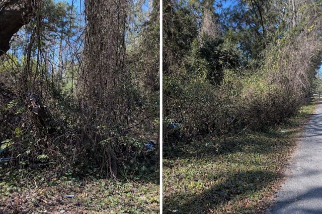 0000 NW 134TH TER, Alachua, FL 32615