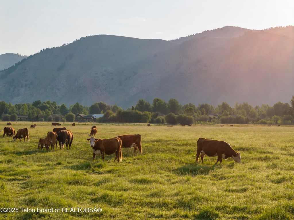 120 ACRES SOUTH PARK LOOP Road, Jackson, WY 83001 photo 15