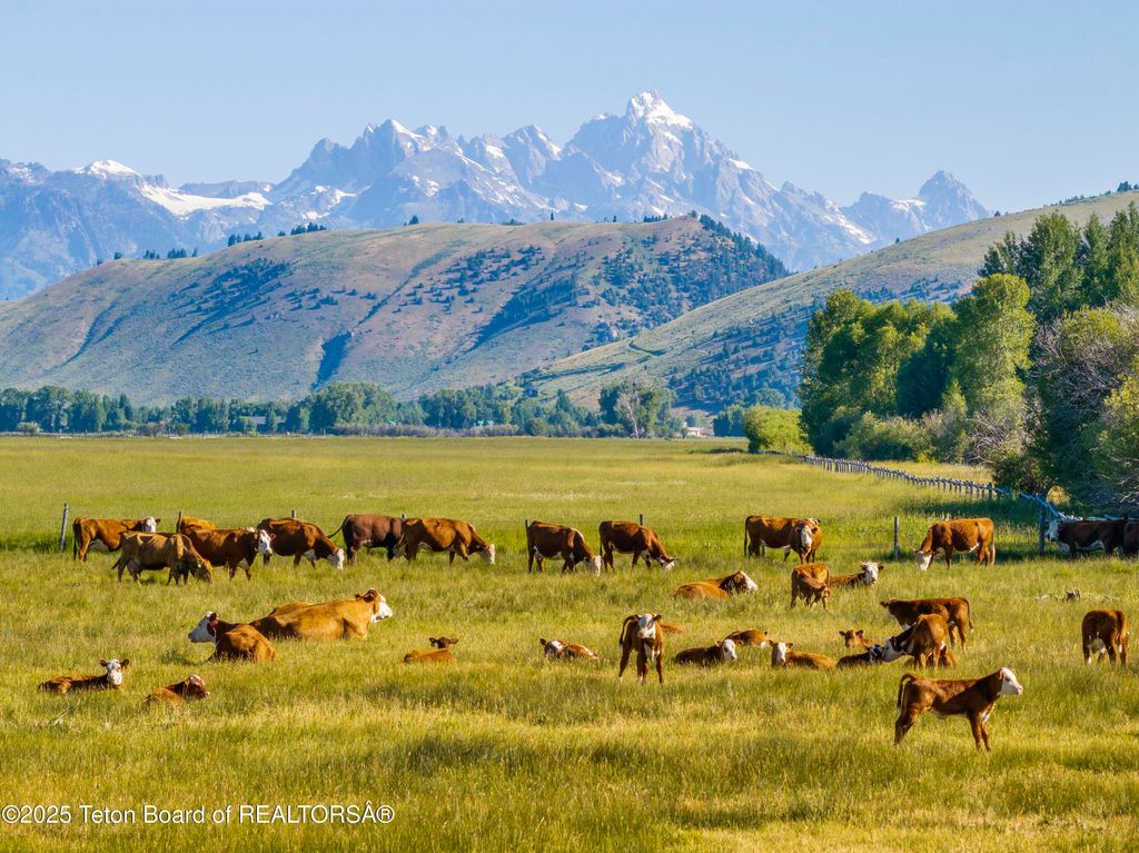 120 ACRES SOUTH PARK LOOP Road, Jackson, WY 83001 photo 23