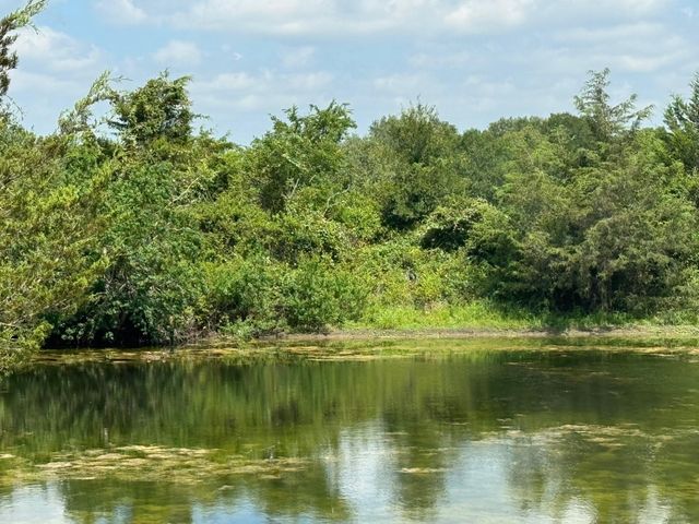 4430 Fm 1457, Round Top, TX 78954