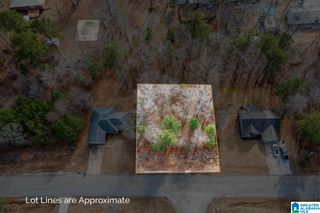 20379 CASTLE RIDGE ROAD, Mccalla, AL 35111
