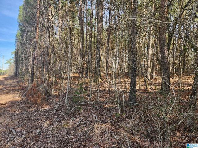 0 HIGHWAY 79, Remlap, AL 35133