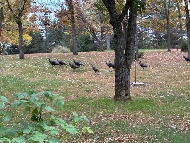 9175 Lakewood Shore Road NW, Rice, MN 56367