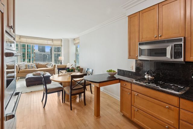25 E Superior Street 3903, Chicago, IL 60611