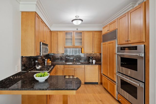 25 E Superior Street 3903, Chicago, IL 60611