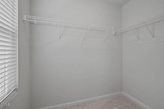 1956 Rosedale Ridge Avenue, Wake Forest, NC 27587