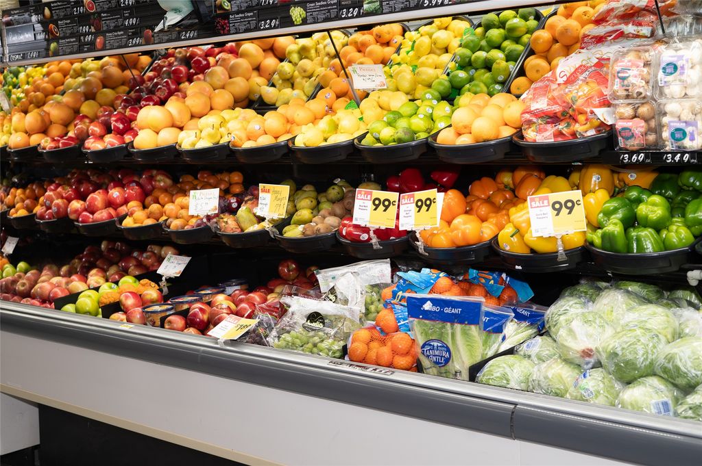 207 3rd Street NE, Harlowton, MT 59036 photo 7