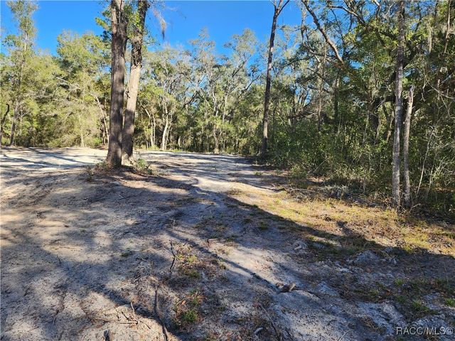7513 W Dunklin Street, Dunnellon, FL 34433