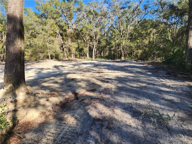 7513 W Dunklin Street, Dunnellon, FL 34433