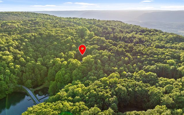 55 Mountain Farms Road, Signal Mountain, TN 37377