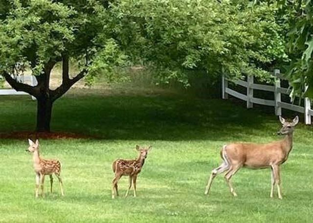 1532 34th Street, Allegan, MI 49010