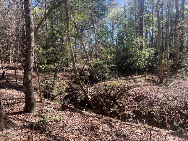 TBD E Fm 1988, Goodrich, TX 77335