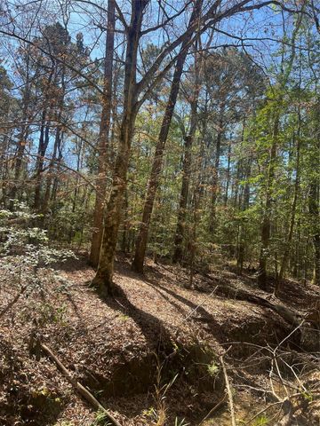 TBD E Fm 1988, Goodrich, TX 77335