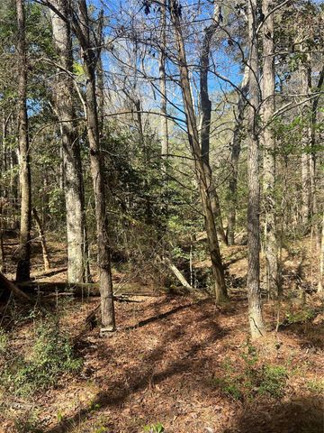 TBD E Fm 1988, Goodrich, TX 77335