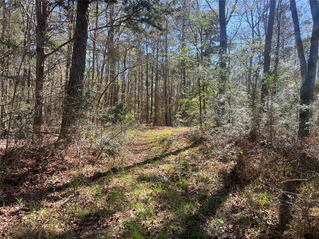 TBD E Fm 1988, Goodrich, TX 77335