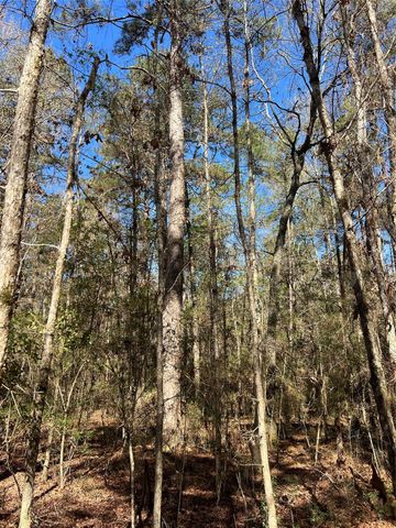 TBD E Fm 1988, Goodrich, TX 77335