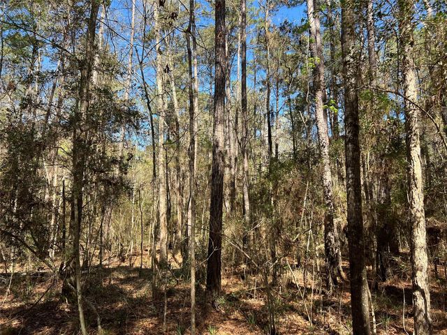 TBD E Fm 1988, Goodrich, TX 77335