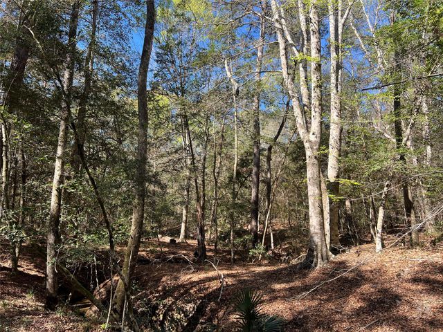 TBD E Fm 1988, Goodrich, TX 77335