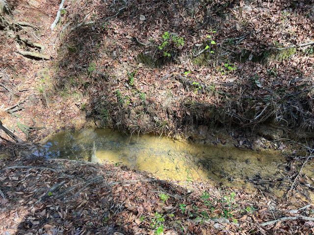 TBD E Fm 1988, Goodrich, TX 77335